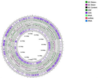 Comprehensive genomic analysis of hypocholesterolemic probiotic Enterococcus faecium LR13 reveals unique proteins involved in cholesterol-assimilation